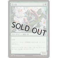 [EX+]花の壁/Wall of Blossoms《日本語》【TDC】