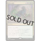 戦争の犠牲/Casualties of War《日本語》【TDC】