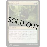 忌まわしい回収/Grisly Salvage《日本語》【TDC】