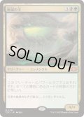 [EX+]絶滅の王/Lord of Extinction《日本語》【TDC】