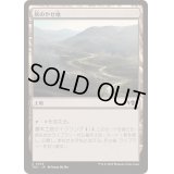 灰のやせ地/Ash Barrens《日本語》【TDC】