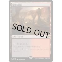 [EX+]泥濘の峡谷/Canyon Slough《日本語》【TDC】