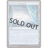 [EX+]セファリッドの円形競技場/Cephalid Coliseum《日本語》【TDC】