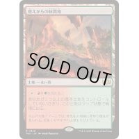 [EX+]燃えがらの林間地/Cinder Glade《日本語》【TDC】
