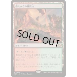 画像1: [EX+]燃えがらの林間地/Cinder Glade《日本語》【TDC】