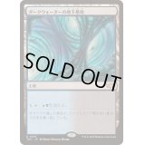 ダークウォーターの地下墓地/Darkwater Catacombs《日本語》【TDC】