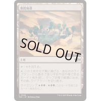 [EX+]欺罔地帯/Deceptive Landscape《日本語》【TDC】