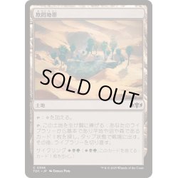 画像1: 欺罔地帯/Deceptive Landscape《日本語》【TDC】