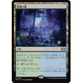 夢根の滝/Dreamroot Cascade《日本語》【TDC】
