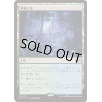 [EX+]夢根の滝/Dreamroot Cascade《日本語》【TDC】