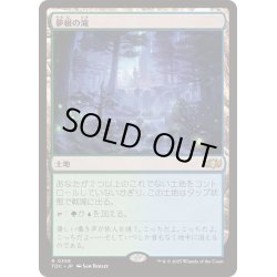 画像1: [EX+]夢根の滝/Dreamroot Cascade《日本語》【TDC】