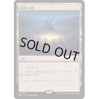 [EX+]溺墓の寺院/Drownyard Temple《日本語》【TDC】
