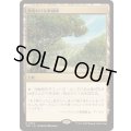 風変わりな果樹園/Exotic Orchard《日本語》【TDC】