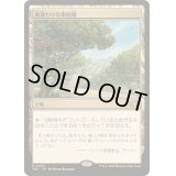 風変わりな果樹園/Exotic Orchard《日本語》【TDC】