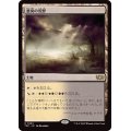 悪臭の荒野/Fetid Heath《日本語》【TDC】
