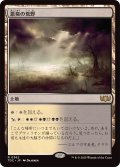 悪臭の荒野/Fetid Heath《日本語》【TDC】