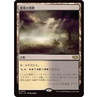 悪臭の荒野/Fetid Heath《日本語》【TDC】