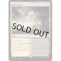 [EX+]悪臭の荒野/Fetid Heath《日本語》【TDC】