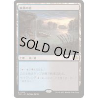 [EX+]異臭の池/Fetid Pools《日本語》【TDC】