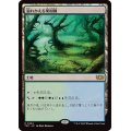 溢れかえる果樹園/Flooded Grove《日本語》【TDC】
