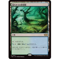 溢れかえる果樹園/Flooded Grove《日本語》【TDC】