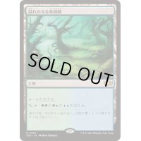 [EX+]溢れかえる果樹園/Flooded Grove《日本語》【TDC】