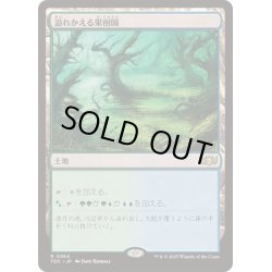 画像1: 溢れかえる果樹園/Flooded Grove《日本語》【TDC】