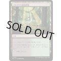 [EX+]ゴルガリの腐敗農場/Golgari Rot Farm《日本語》【TDC】