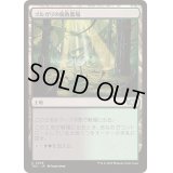 ゴルガリの腐敗農場/Golgari Rot Farm《日本語》【TDC】