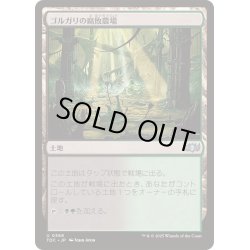 画像1: [EX+]ゴルガリの腐敗農場/Golgari Rot Farm《日本語》【TDC】