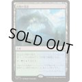 内陸の湾港/Hinterland Harbor《日本語》【TDC】