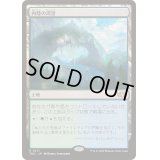内陸の湾港/Hinterland Harbor《日本語》【TDC】