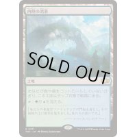 内陸の湾港/Hinterland Harbor《日本語》【TDC】