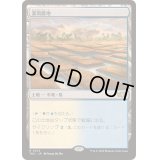 灌漑農地/Irrigated Farmland《日本語》【TDC】