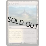 孤立した礼拝堂/Isolated Chapel《日本語》【TDC】