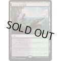 ラノワールの荒原/Llanowar Wastes《日本語》【TDC】