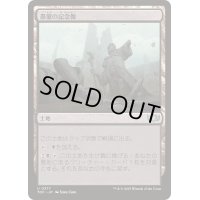 愚蒙の記念像/Memorial to Folly《日本語》【TDC】