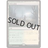 草茂る農地/Overgrown Farmland《日本語》【TDC】