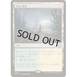 画像1: 草茂る農地/Overgrown Farmland《日本語》【TDC】