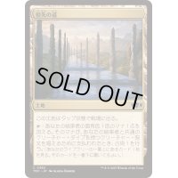 祖先の道/Path of Ancestry《日本語》【TDC】