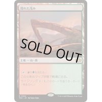 [EX+]隠れた茂み/Sheltered Thicket《日本語》【TDC】