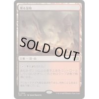 [EX+]燻る湿地/Smoldering Marsh《日本語》【TDC】