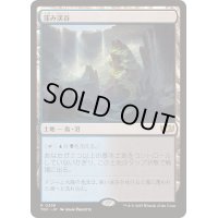 [EX+]窪み渓谷/Sunken Hollow《日本語》【TDC】