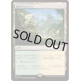 [EX+]陽花弁の木立ち/Sunpetal Grove《日本語》【TDC】