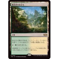 陽花弁の木立ち/Sunpetal Grove《日本語》【TDC】