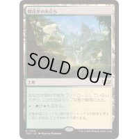 [EX+]陽花弁の木立ち/Sunpetal Grove《日本語》【TDC】