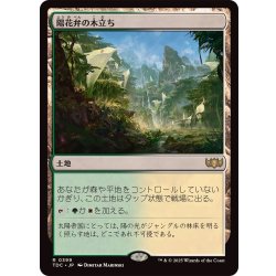 画像1: 陽花弁の木立ち/Sunpetal Grove《日本語》【TDC】