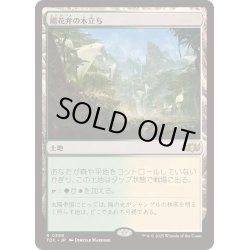 画像1: [EX+]陽花弁の木立ち/Sunpetal Grove《日本語》【TDC】