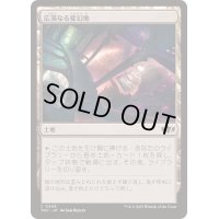 [EX+]広漠なる変幻地/Terramorphic Expanse《日本語》【TDC】