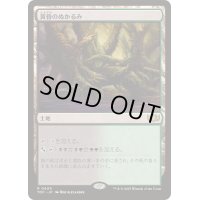 [EX+]黄昏のぬかるみ/Twilight Mire《日本語》【TDC】